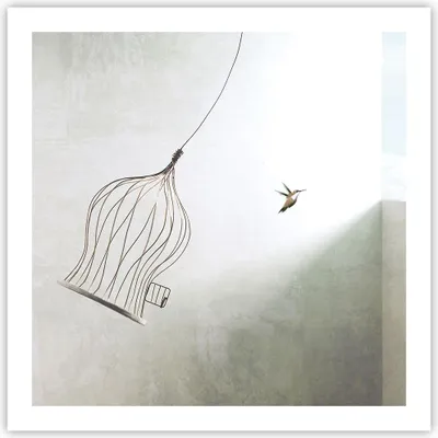 Produktbild von Poster - Poster ohne Rahmen - Flug Vogel Käfig - 60x60 cm - Wand Bild - Wanddeko - Wandbilder - Kunstposter - Wandposter - Bilder - Kunstdruck - Wanddekoration - Wandbild - P2XAC60x60-5085