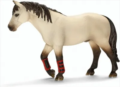 Produktbild von SCHLEICH 13706 - Schulpferd