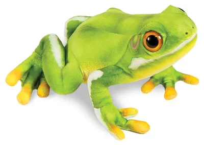 Produktbild von Laubfrosch als Kuscheltier 29cm