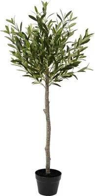 Produktbild von Kunstpflanze Olivenbaum 120 cm