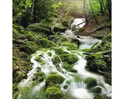 Produktbild von Glasbild Mystic Ways Waldmotiv mit klarem Bach und Wasserfällen 50x50 cm