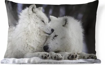 Produktbild von MuchoWow® Outdoor Kissen - Wölfe - Schnee - Familie - 60x40 cm - Wetterfest - Lounge Kissen - Zierkissen - Kissen für Innenräume
