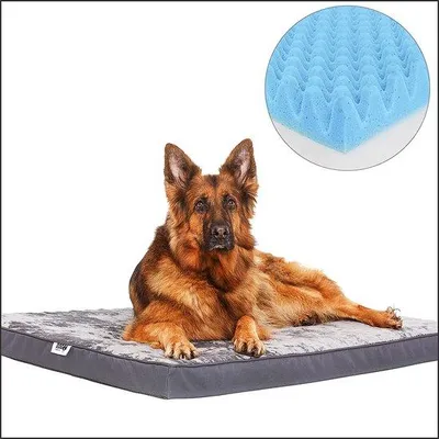 Immagine prodotto di Grande cuccia per cani