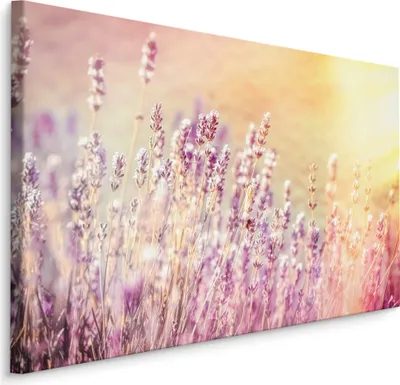 Produktbild von Canvas Bild LEINWANDBILD Kunstdruck XXL Wandbild Natur Blumen Lavendel Wiese