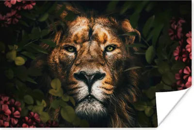 Produktbild von MuchoWow® Poster Dschungel - Löwe - Blumen - Pflanzen 30x20 cm - Plakate - Print