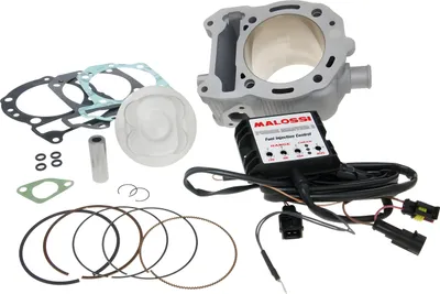 Obrázok produktu pre Súprava valcov Malossi I-Tech 218cc pre Piaggio Leader Injection vrátane vstrekovacieho modulu Force Master