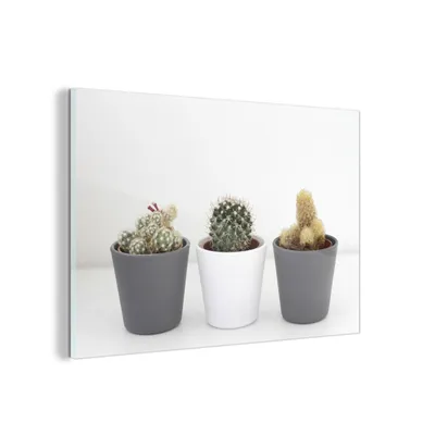 Obrázok produktu pre MuchoWow® Sklenené obrazy - Obrazy na stenu - Foto na skle Tri kaktusy za sebou 60x40cm Nástenná dekorácia zo skla - akrylový sklenený obraz - akrylové obrazy