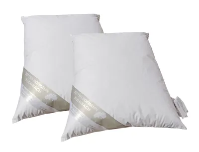 Produktbild von 2 Stück Hofmanns Lendenkissen 25x40 Nackenkissen Kuschelkissen Flugzeugkissen 100% Daunen 80 g