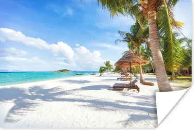 Produktbild von MuchoWow® Poster Strand - Meer - Palmen 120x80 cm - Bilder