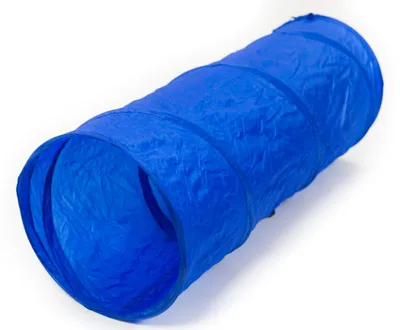 Image de Tunnel d'agilité XS pour chiens - Bleu - 35 x 100 cm