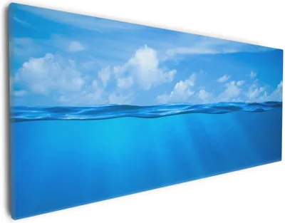 Produktbild von Wallario Premium Leinwandbild Unterwasserwelt Meer in Größe 30 x 75 cm