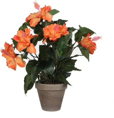 Produktbild von Mica Decorations Hibiskus Kunstpflanze im Blumentopf Stan - H40 x Ø30 cm - Orange