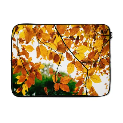 Produktbild von MuchoWow® Laptop Hülle 13 Zoll Herbstblätter - Baum - Rustikal Laptoptasche - Laptophülle - Sleeve - Rundumschutz