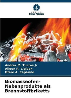 Produktbild von Biomasseofen-Nebenprodukte als Brennstoffbriketts