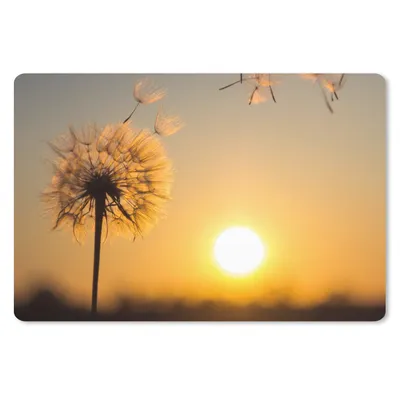 Produktbild von MuchoWow® Schreibtischunterlage Löwenzahn - Sonne - Sonnenuntergang 60x40 cm - XXL Mauspad - Großes Mauspad