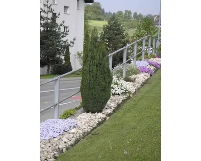 A planted garden bed with flowers and a small tree next to a road and a building.