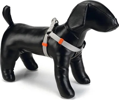 Immagine prodotto di Beeztees Uni - Pettorina per cani - grigio chiaro - 46-75 cm x 20 mm
