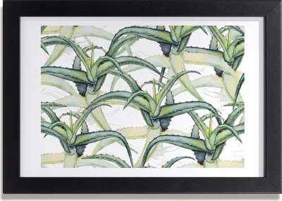Produktbild von Bild 30x20 MDF-Rahmen, Wandkunst Aloe