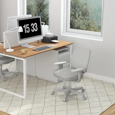 Immagine prodotto di sedia da ufficio ergonomica okwish regolabile in altezza con schienale in rete, sedia imbottita con rotelle di sicurezza bloccabili, grigio