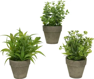 Produktbild von Künstliche Sukkulenten-Topfpflanze 25 cm