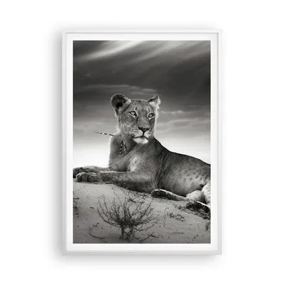 Produktbild von Gerahmtes Poster - Weißer Rahmen - Tierwelt weiblich katze Tier - 70x100 cm - Wand Bild - Wanddeko - Wandbilder - Wandposter - Bilderrahmen - Bilder - Kunstdruck - Wandbild - P2WPA70x100-3165
