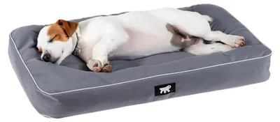 Image de Lit pour chien Ferplast