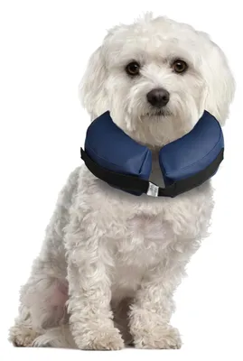 Produktbild von Karlie Aufblasbarer Hundekragen S Yorkie, Malteser