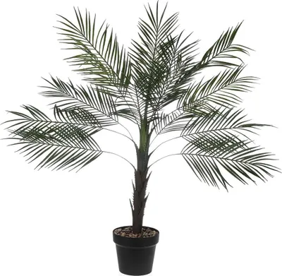 Image de Plante décorative Versa plastique