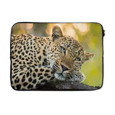 Produktbild von MuchoWow® Laptop Hülle 14 ZollLeopard - Natur - Sonnenuntergang Laptoptasche - Laptoptasche - Stoßsicher - Schutzhaube