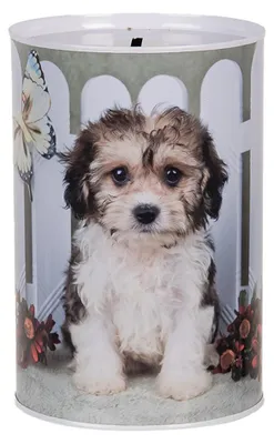 Image de Clayre & Eef Tirelires Ø 10x15 cm Blanc Métal Chien