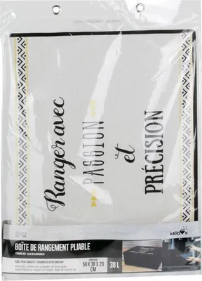 Image de Boite De Rangement 38l Idebox RG5979