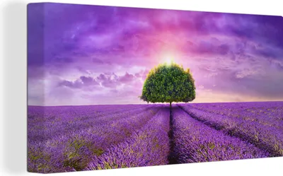 Produktbild von OneMillionCanvasses® - Leinwandbilder - Bild auf Leinwand Wandbild Leinwandbild Lavendel - Baum - Lila - Wolken, 80x40 cm, Kunstdruck Wandkunst Gemälde auf Holzrahmen - Bilder auf Leinwand