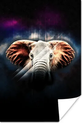 Produktbild von MuchoWow® Poster Elefant - Schwarz - Farben 60x90 cm - Wanddekoration
