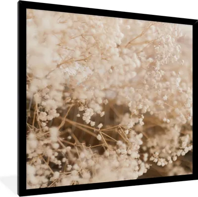 Produktbild von MuchoWow® Gerahmtes Poster Pampasgras - Pflanze - Natur 40x40 cm - Poster mit Schwarzem Bilderrahmen Wandposter Rahmen Foto Bilder - Mit Rahmen - Wanddekoration Schlafzimmer