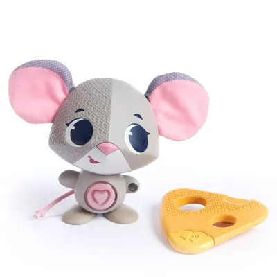 A toy mouse and a cheese-shaped teether on a white background.