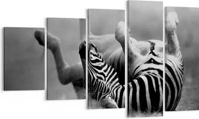 Produktbild von Bild auf Leinwand - Leinwandbild - Zebra Streifen Tier wild - 100x60cm - Wand Bild - Wanddeko - Leinwanddruck - Bilder - Kunstdruck - Wanddekoration - Leinwand bilder - Wandkunst - EG100x60-2699