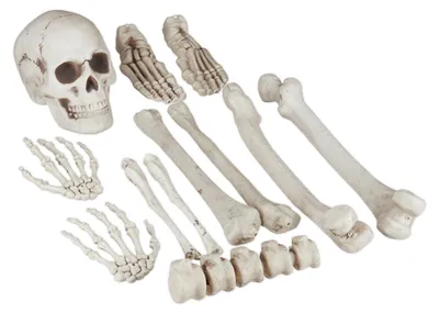 Immagine prodotto di Relaxdays Ossa decorative, set da 12 pezzi, decorazioni di Halloween, per interni ed esterni, ossa, teschi e mani scheletriche, decorazioni horror, XXL