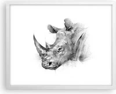 Produktbild von Gerahmtes Poster - Weißer Rahmen - Nashorn Porträt Grafik - 50x40 cm - Wand Bild - Wanddeko - Wandbilder - Kunstposter - Wandposter - Bilderrahmen - Bilder - Kunstdruck - P2WAA50x40-4378