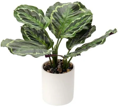 Image de Fausse plante Monstera dans un pot tropical pour bureau
