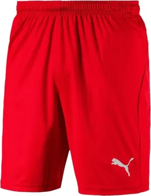 Produktbild von Puma Hosen Liga Shorts Core, 70343601, Größe: 188