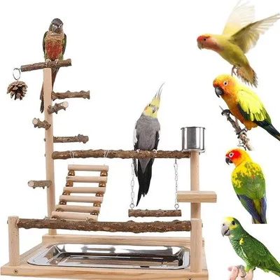 Produktbild von Vogelspielplatz mit Futterstation - Für Papageien und Sittiche