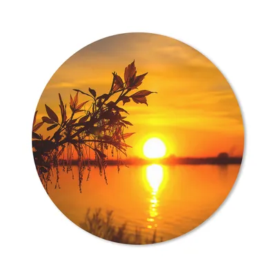 Produktbild von MuchoWow® Mauspad Mousepad Sonnenuntergang - Wasser - Pflanzen - Orange 40x40 cm - Mousepads - Maus Mat - Pad - Mausunterlage - Schreibtisch Accessoires