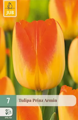 Produktbild von Warentuin Produkt