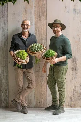Image de Green