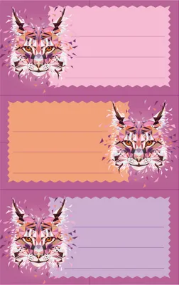Produktbild von Herlitz 50028221, Orange, Pink, Violett, 3 Stück(e), 3 Blätter, 125 mm, 80 mm, 9 Stück(e)