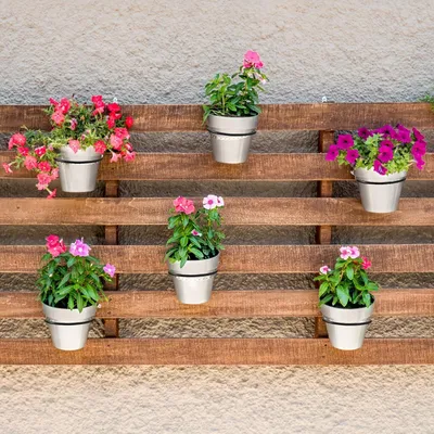 Image de 6 supports de pots de fleurs en métal noir 10 cm - Support mural pour plantes d'intérieur et d'extérieur - Décoration de jardin avec vis