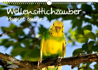 Produktbild von Wellensittichzauber Immerwährender Kalender DIN A3 Wellensittiche - Seelenzauber