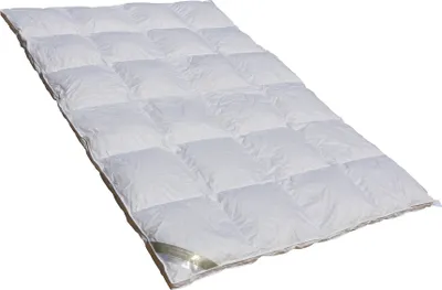 Produktbild von Betten Hofmann White Sibiria Schneegänseflaum Daunendecke mit Außensteg 6x7 240x220 cm
