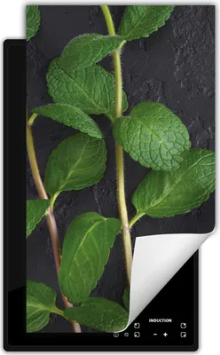 Produktbild von DarHaus Herdabdeckplatte 1 teilig 30x52 cm Anti Rutsch Matte Aufrollbar, Minze
