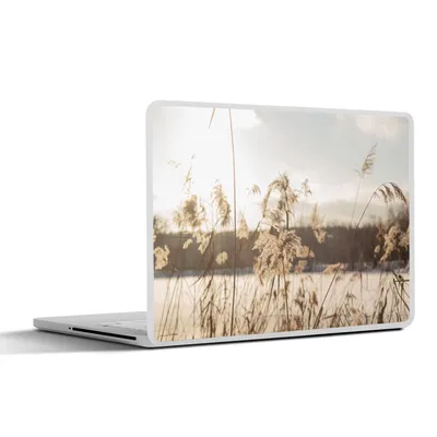Produktbild von MuchoWow® Laptop Aufkleber Sticker Cover Wasser - Pampasgras - Pflanzen 30x22 cm - Laptop-Sticker